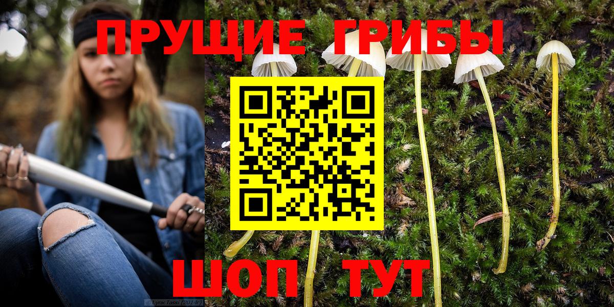 Галлюциногенные грибы MAGIC MUSHROOMS Чебоксары