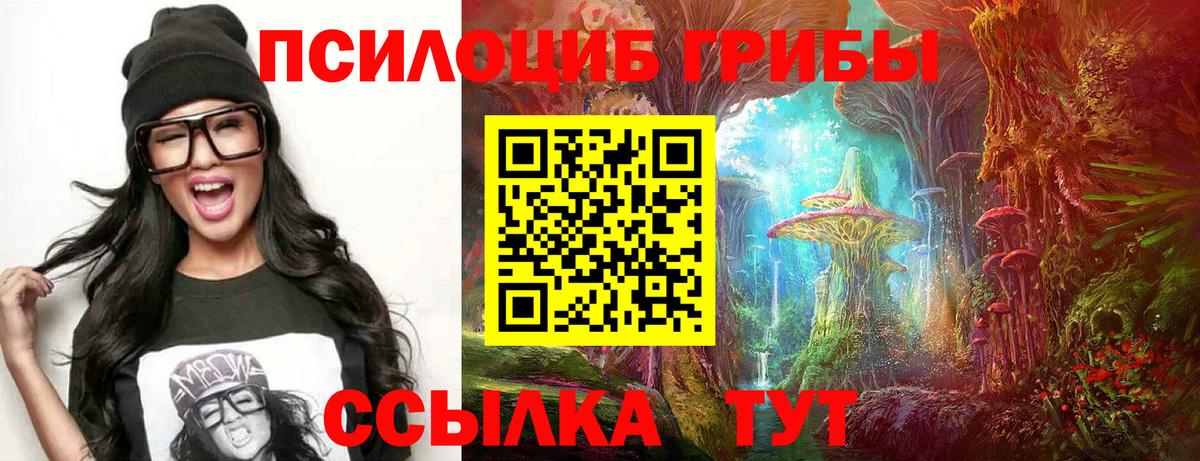 Псилоцибиновые грибы мицелий  Вход с VPN  где продают   Чебоксары 